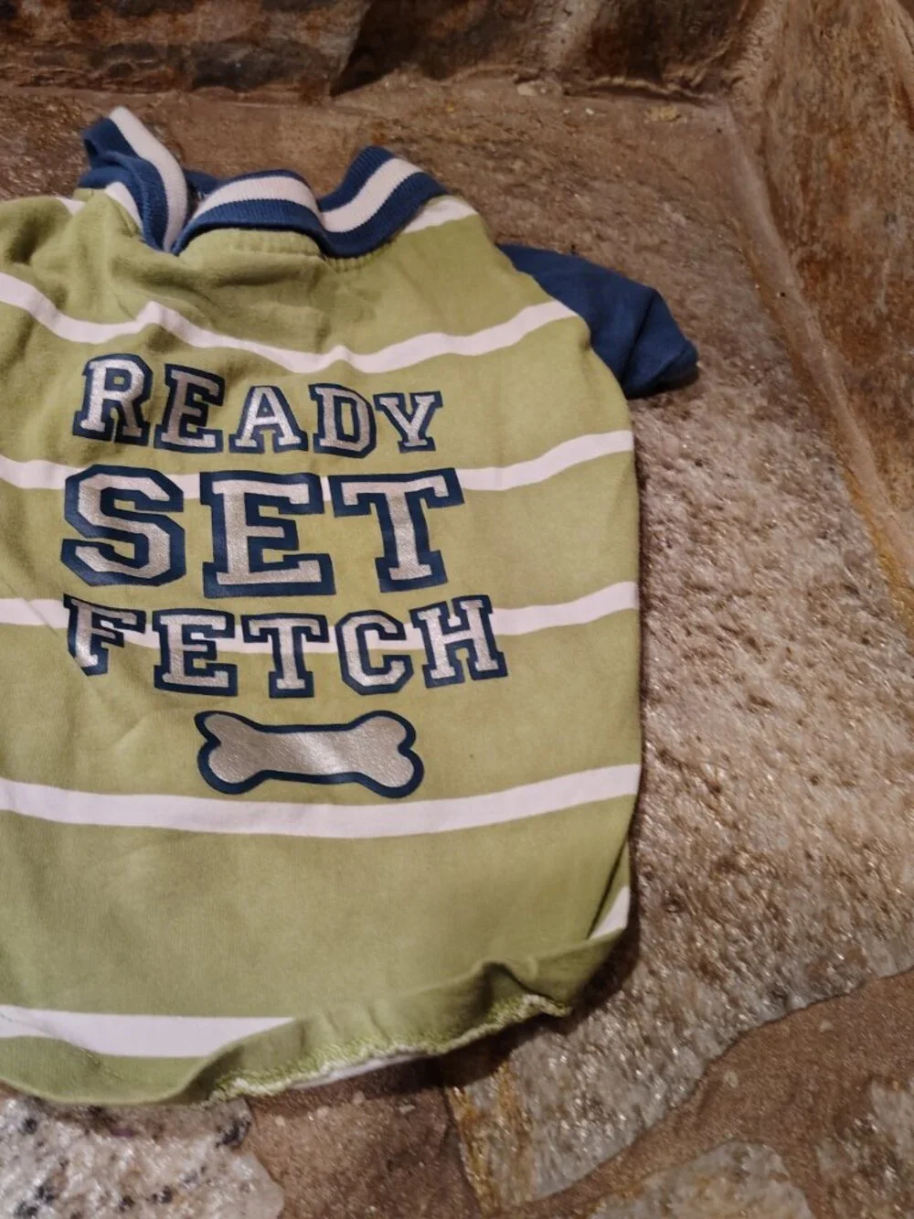 Martha Stewart Pets Dog Polo Size Medium Ready Set Fetch